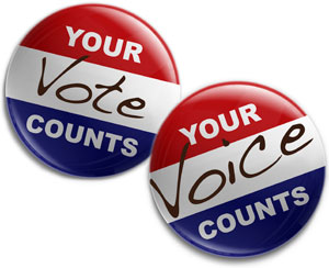 YOUR VOICE YOUR VOTE BUTTONS