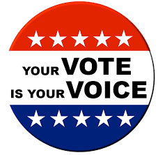 your vote is your voice button